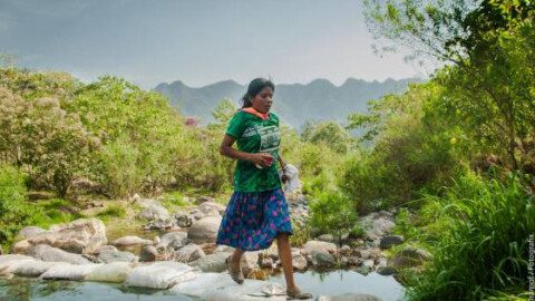 Marathons without special shoes